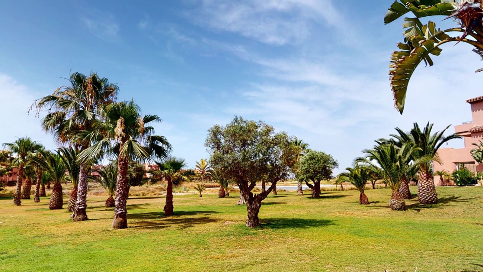 2 soveværelse Lejlighed til leje i Mar Menor Golf Resort med swimmingpool garage - € 1.175 (Ref: 7168368)