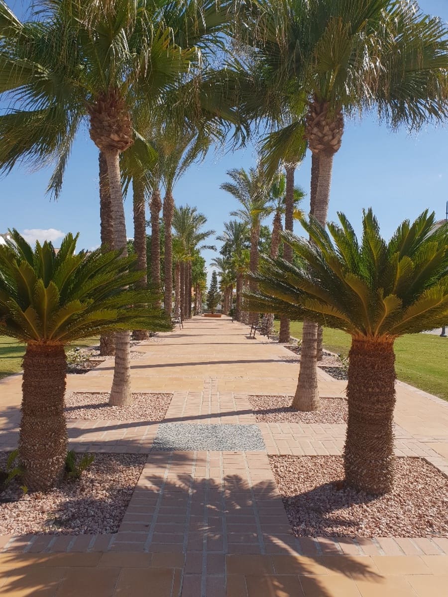 2 soveværelse Lejlighed til leje i La Torre Golf Resort med swimmingpool garage - € 1.100 (Ref: 7519746)