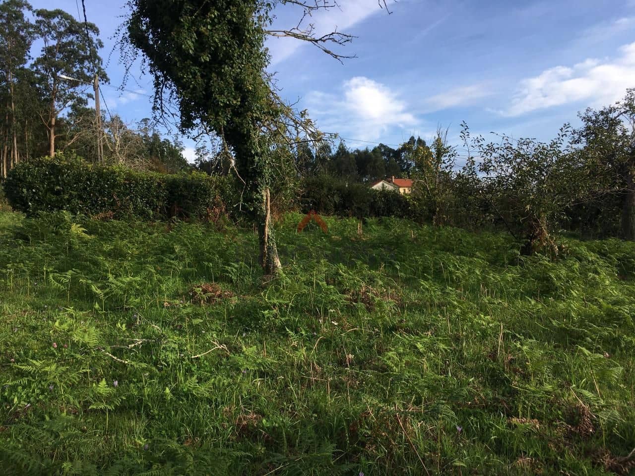 Building Plot for sale in Vilarmaior - € 65,000 (Ref: 9591974)