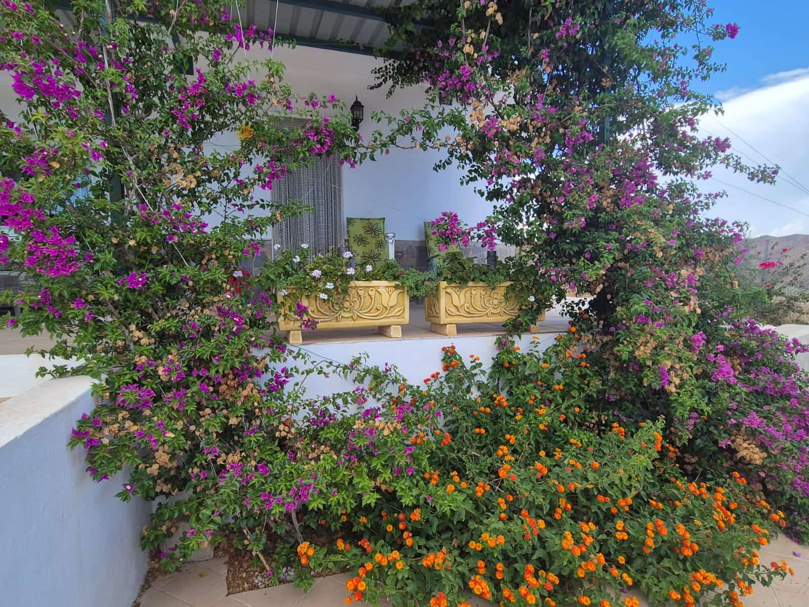 2 soverom Villa til leie i Lijar med svømmebasseng - € 1 100 (Ref: 10009360)