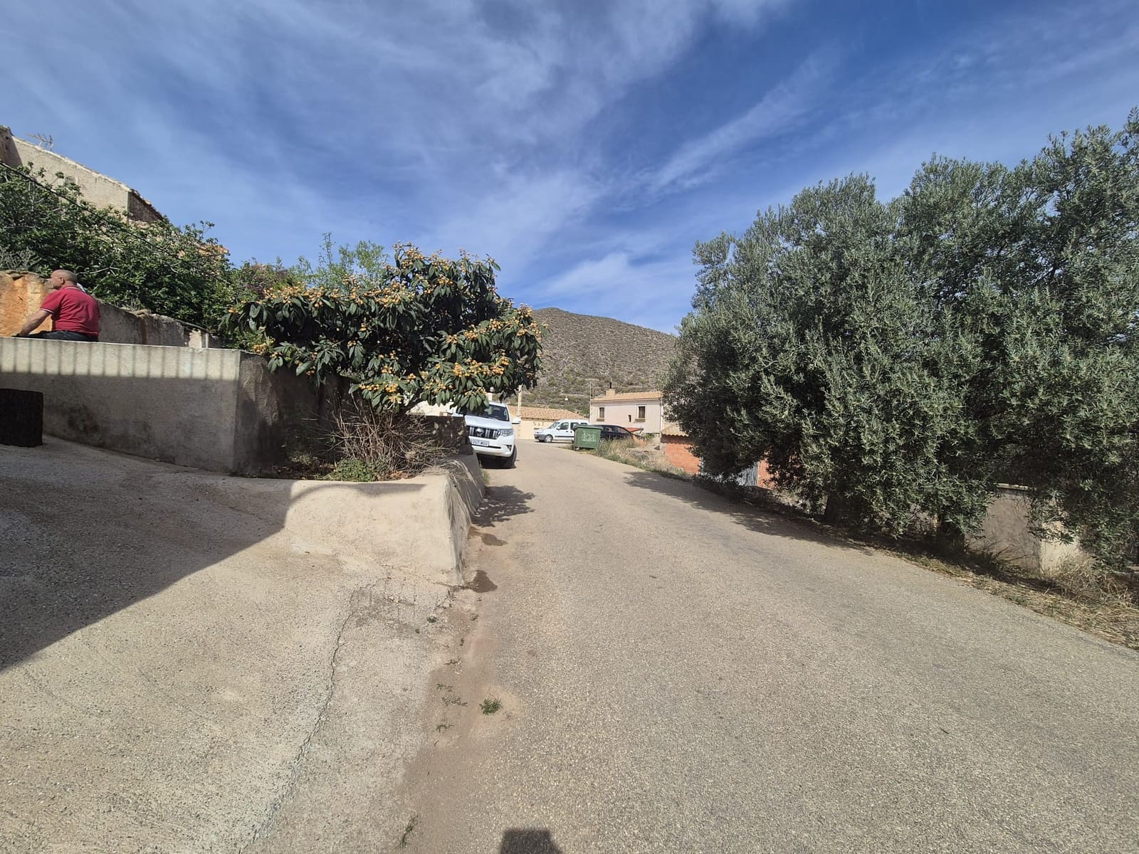 3 slaapkamer Finca/Landhuis te koop in Cantoria - € 69.000 (Ref: 8293067)