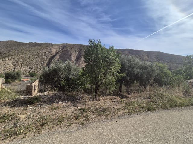 3 slaapkamer Finca/Landhuis te koop in Cantoria - € 69.000 (Ref: 8293067)