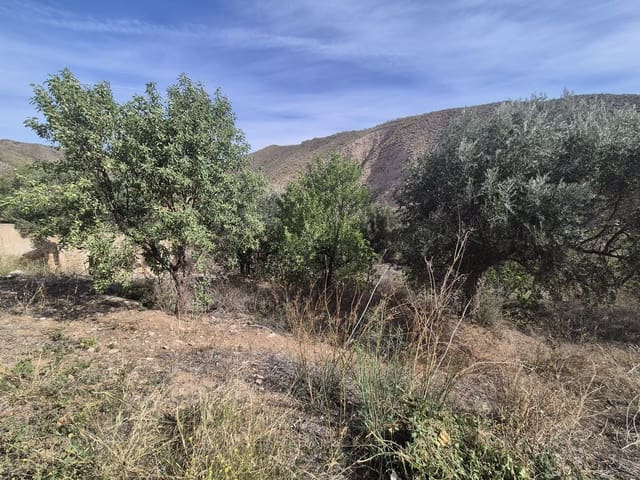 3 slaapkamer Finca/Landhuis te koop in Cantoria - € 69.000 (Ref: 8293067)