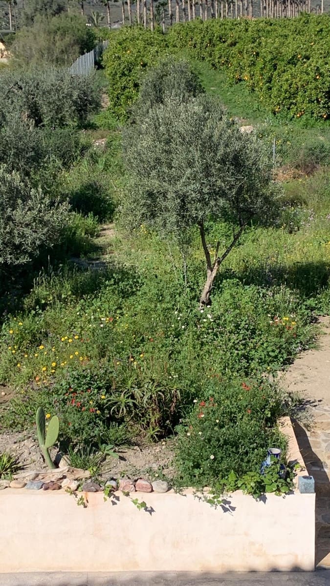 6 sypialnia Dom na sprzedaż w Arboleas - 90 000 € (Ref: 8930117)