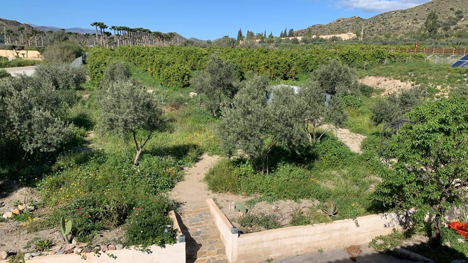 6 sypialnia Dom na sprzedaż w Arboleas - 90 000 € (Ref: 8930117)