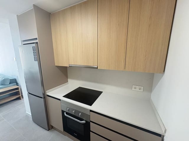 2 bedroom Apartment for rent in Almería city - € 500 (Ref: 9326935)