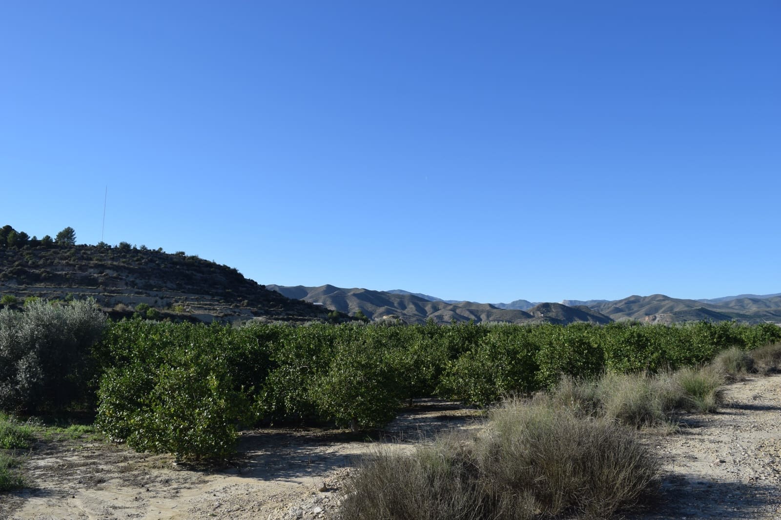 1 sovrum Finca/Hus på landet till salu i Almanzora - 295 000 € (Ref: 9343737)