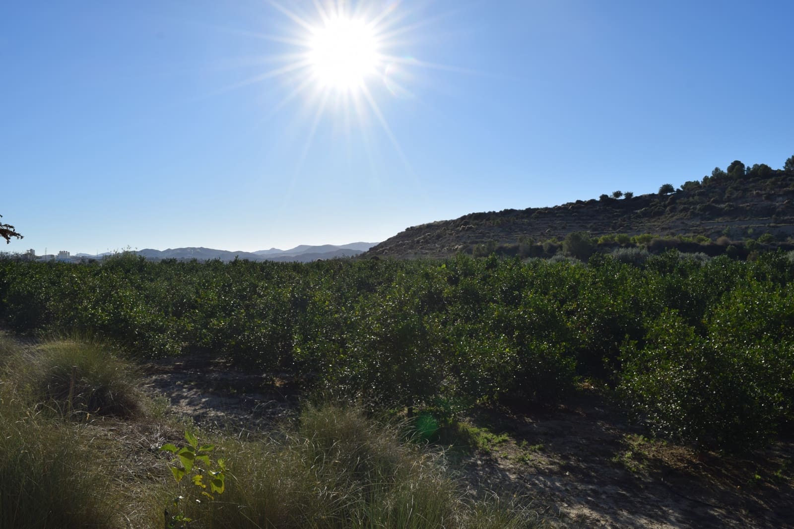 1 sovrum Finca/Hus på landet till salu i Almanzora - 295 000 € (Ref: 9343737)