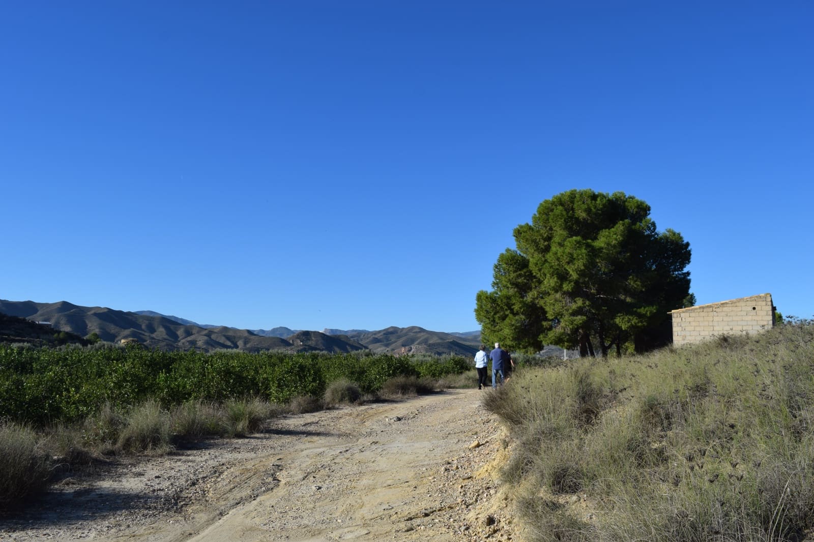 1 sovrum Finca/Hus på landet till salu i Almanzora - 295 000 € (Ref: 9343737)