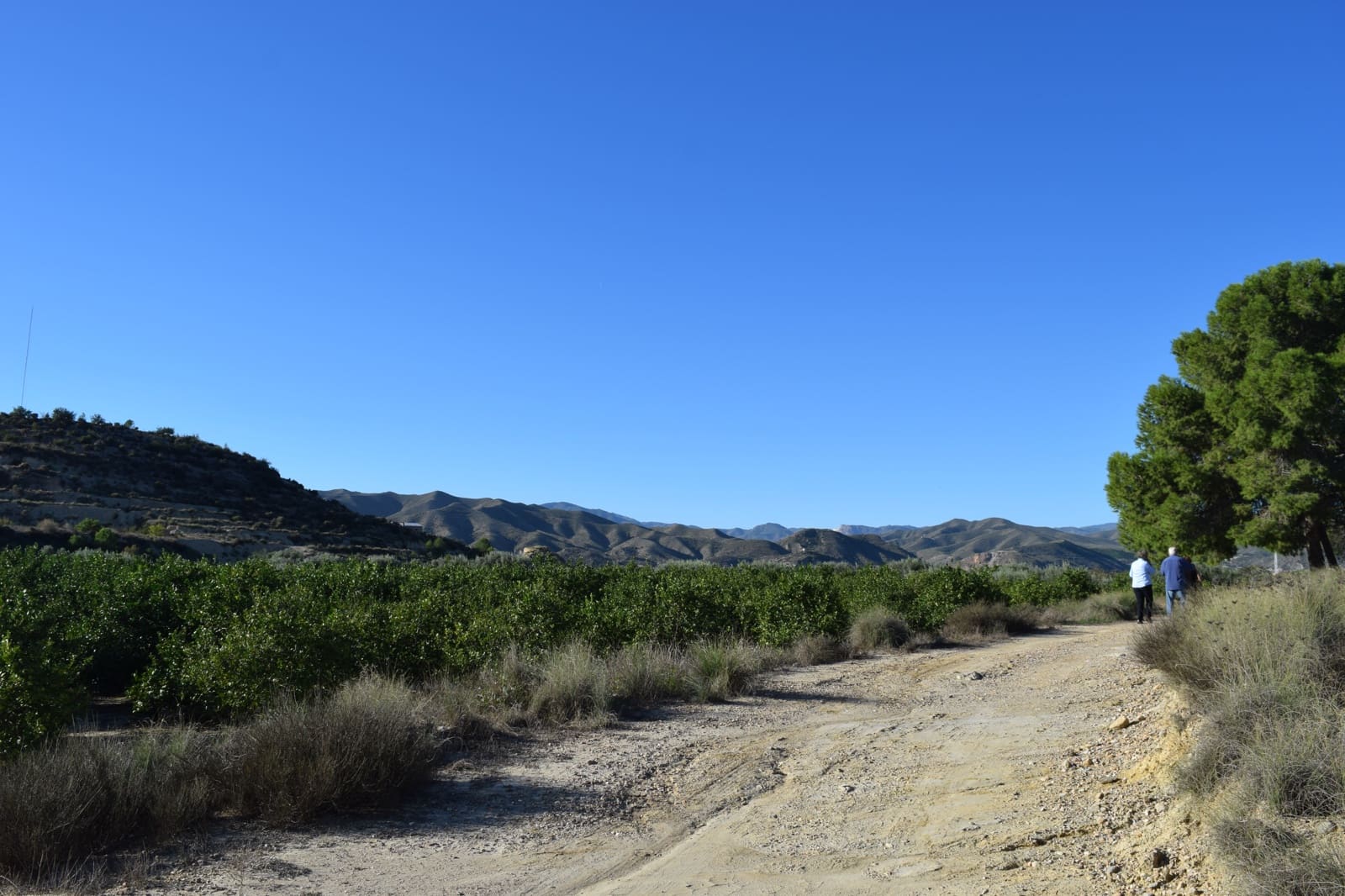 1 sovrum Finca/Hus på landet till salu i Almanzora - 295 000 € (Ref: 9343737)