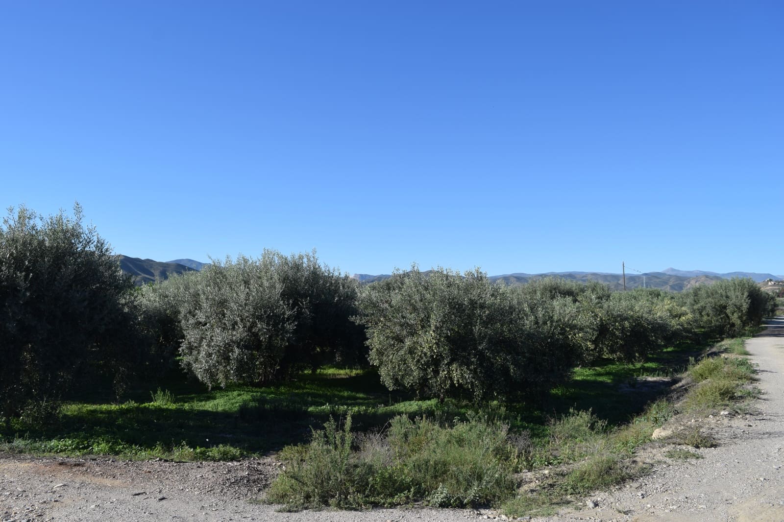 1 sovrum Finca/Hus på landet till salu i Almanzora - 295 000 € (Ref: 9343737)