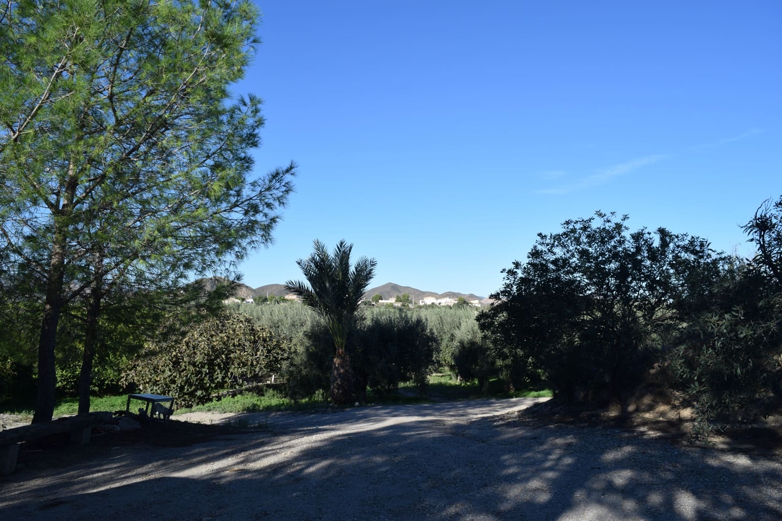 1 sovrum Finca/Hus på landet till salu i Almanzora - 295 000 € (Ref: 9343737)