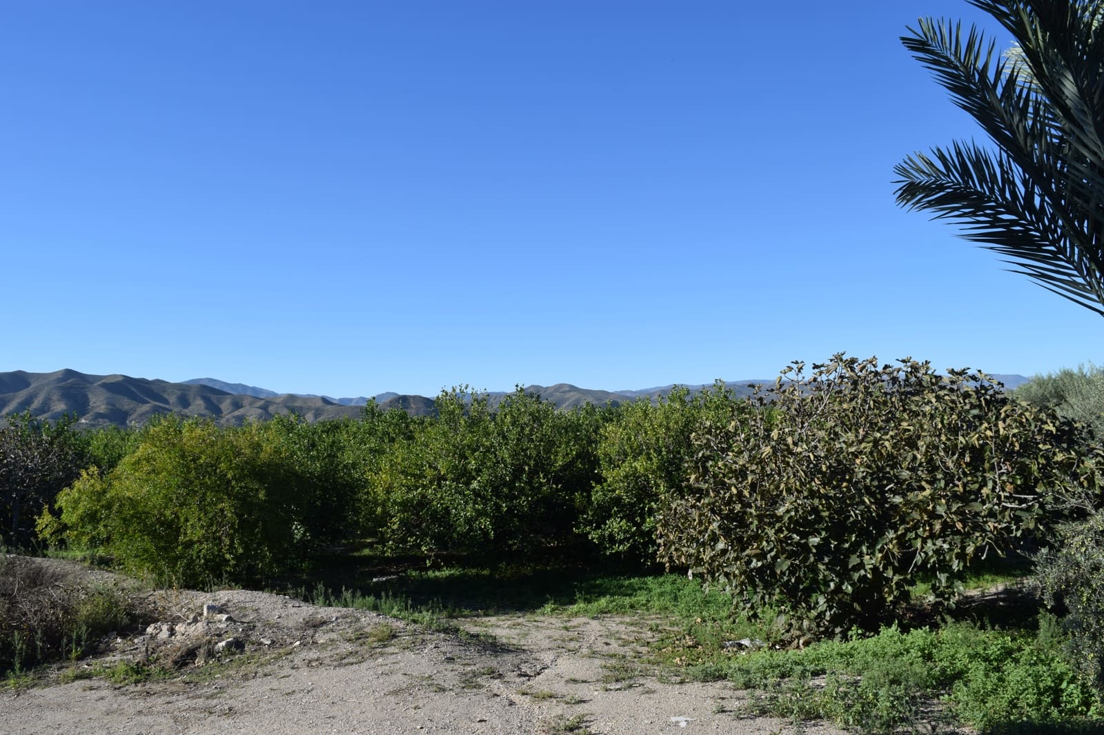 1 sovrum Finca/Hus på landet till salu i Almanzora - 295 000 € (Ref: 9343737)