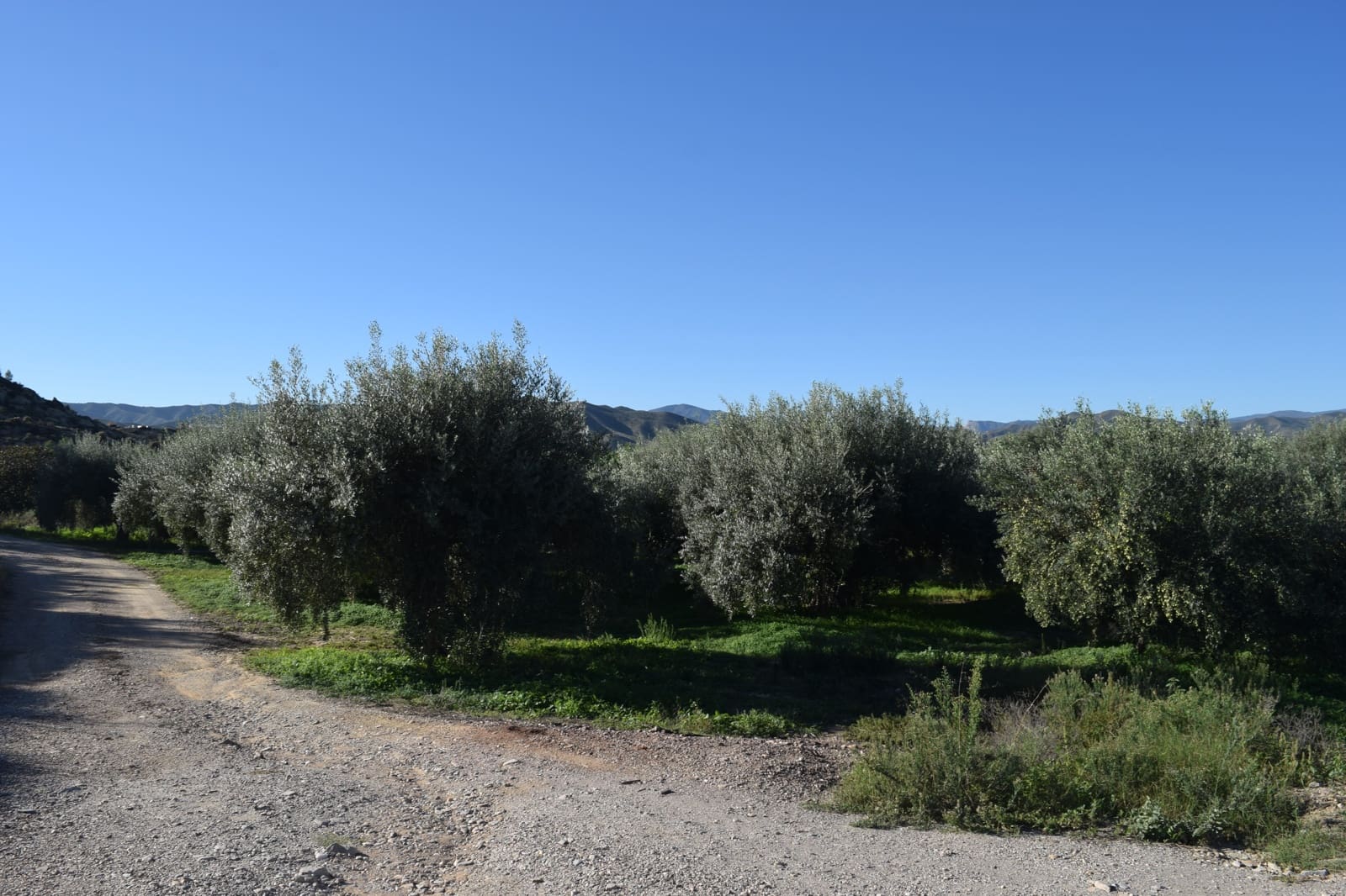 1 sovrum Finca/Hus på landet till salu i Almanzora - 295 000 € (Ref: 9343737)