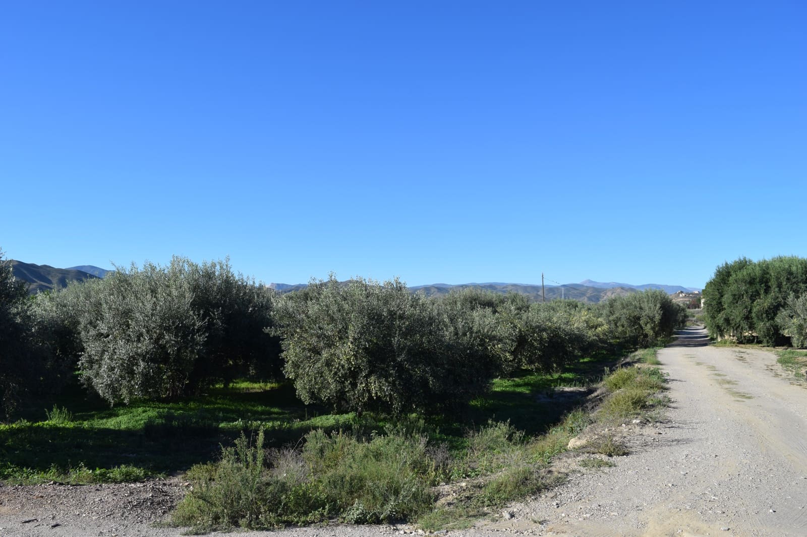 1 sovrum Finca/Hus på landet till salu i Almanzora - 295 000 € (Ref: 9343737)