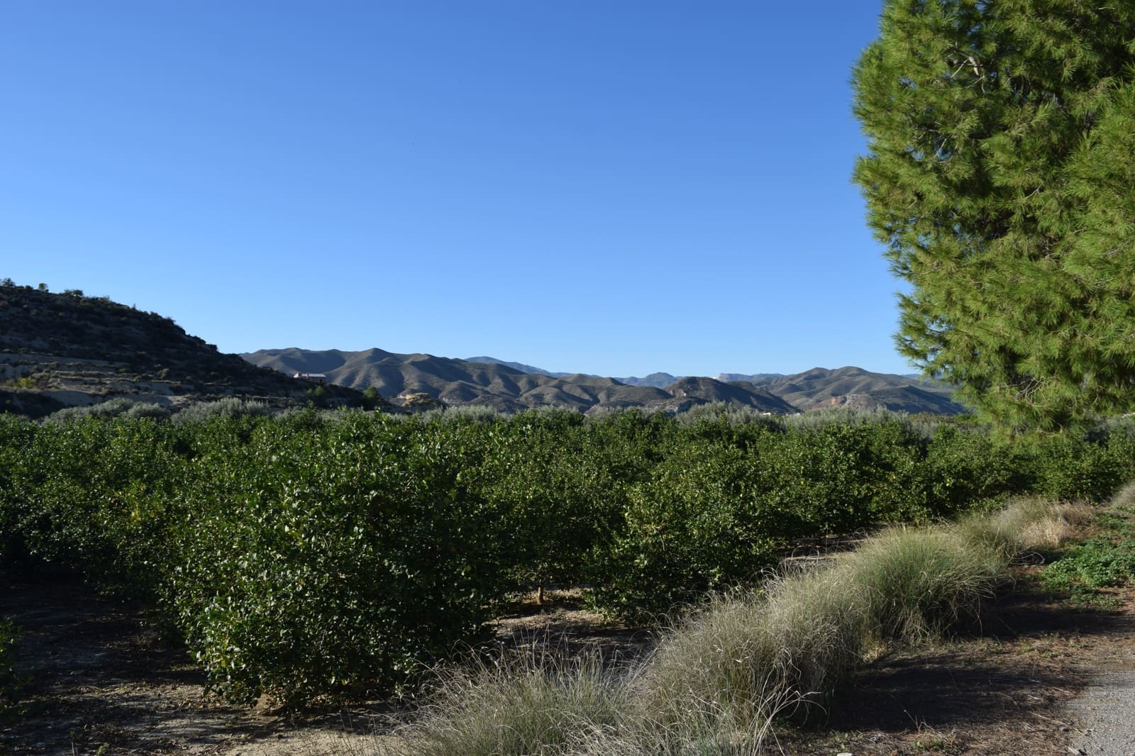 1 sovrum Finca/Hus på landet till salu i Almanzora - 295 000 € (Ref: 9343737)