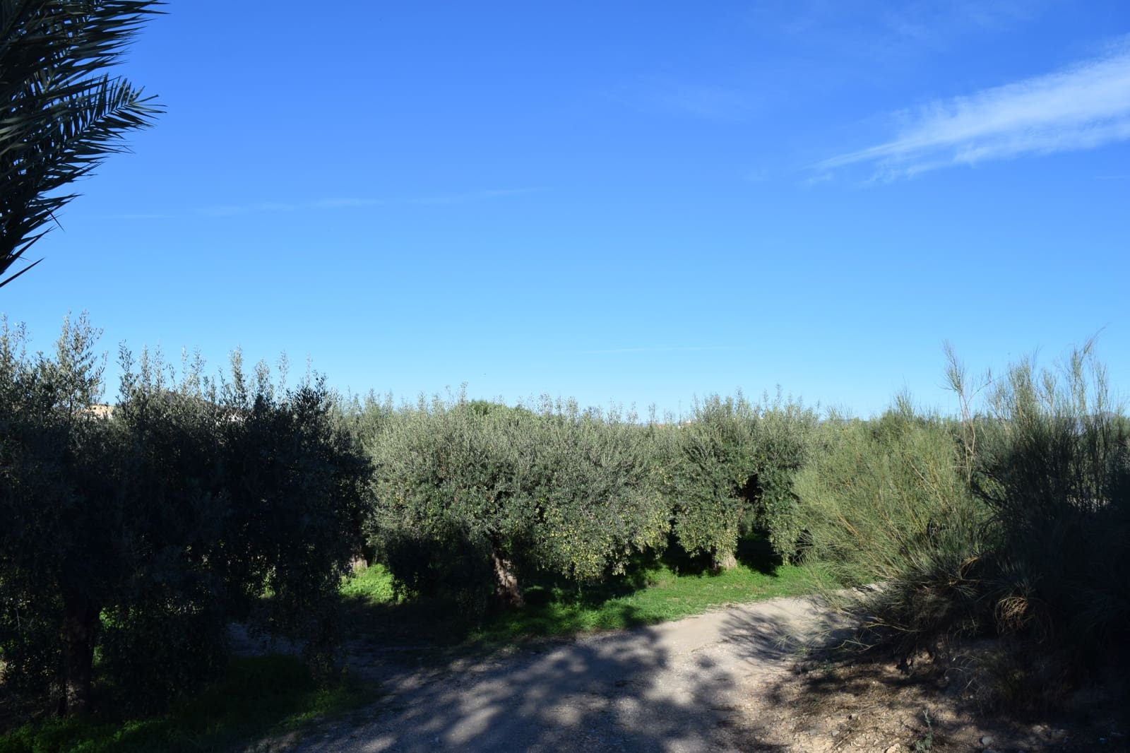 1 sovrum Finca/Hus på landet till salu i Almanzora - 295 000 € (Ref: 9343737)