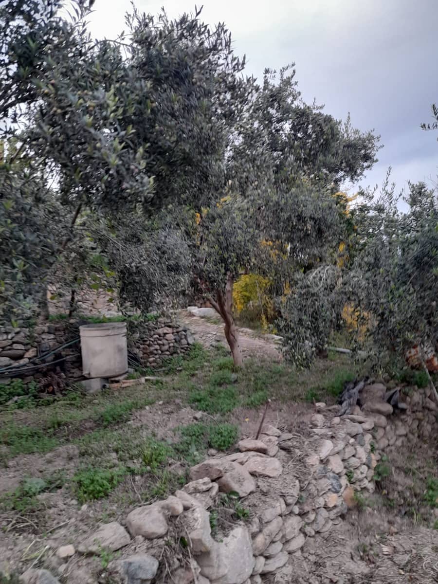 3 makuuhuone Omakotitalo myytävänä paikassa Albanchez - 52 000 € (Ref: 9417363)