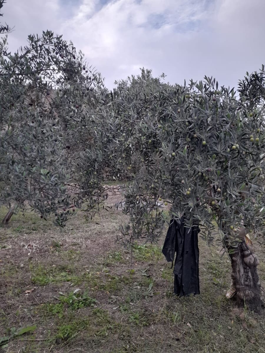 3 makuuhuone Omakotitalo myytävänä paikassa Albanchez - 52 000 € (Ref: 9417363)