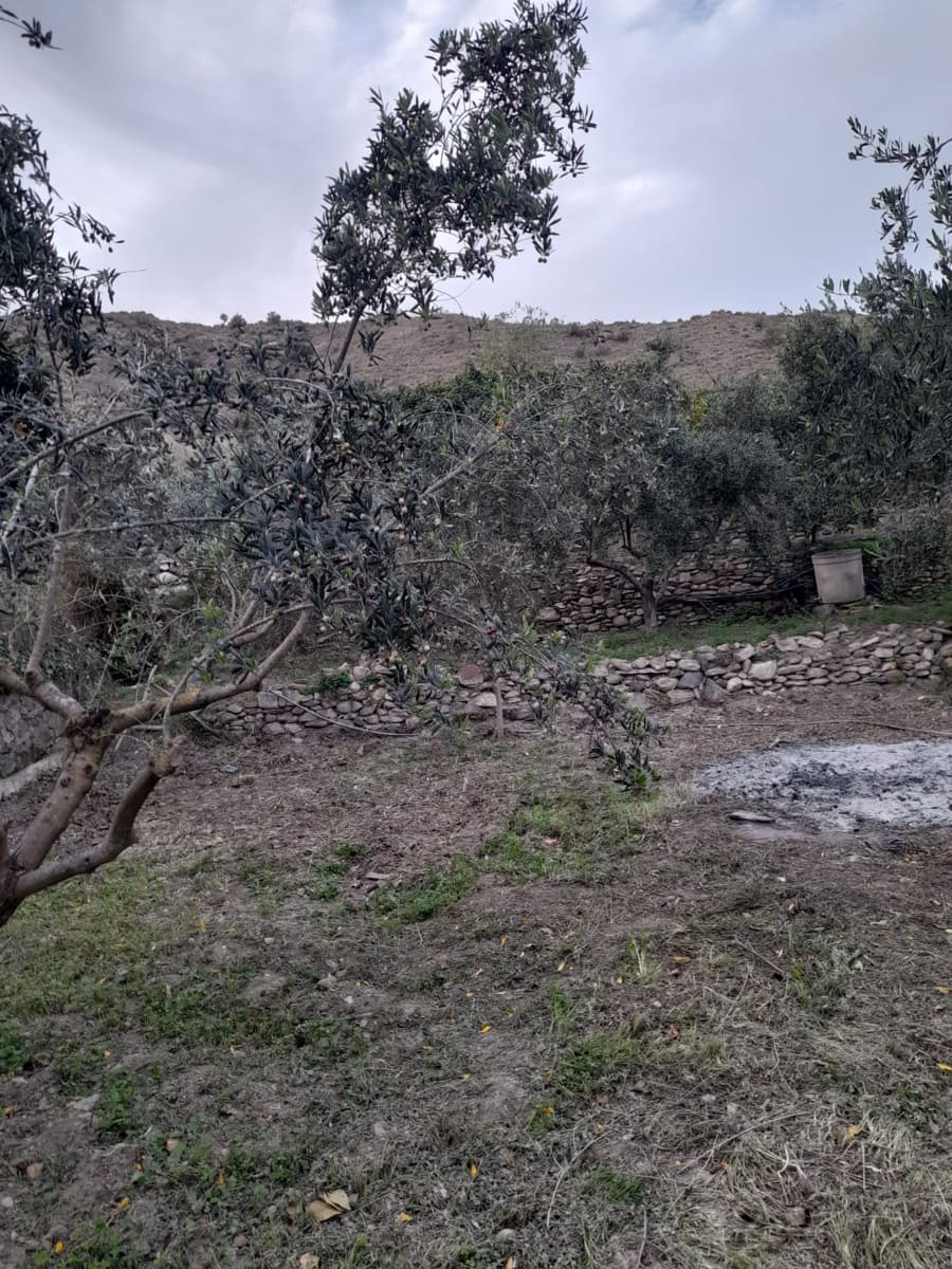 3 makuuhuone Omakotitalo myytävänä paikassa Albanchez - 52 000 € (Ref: 9417363)