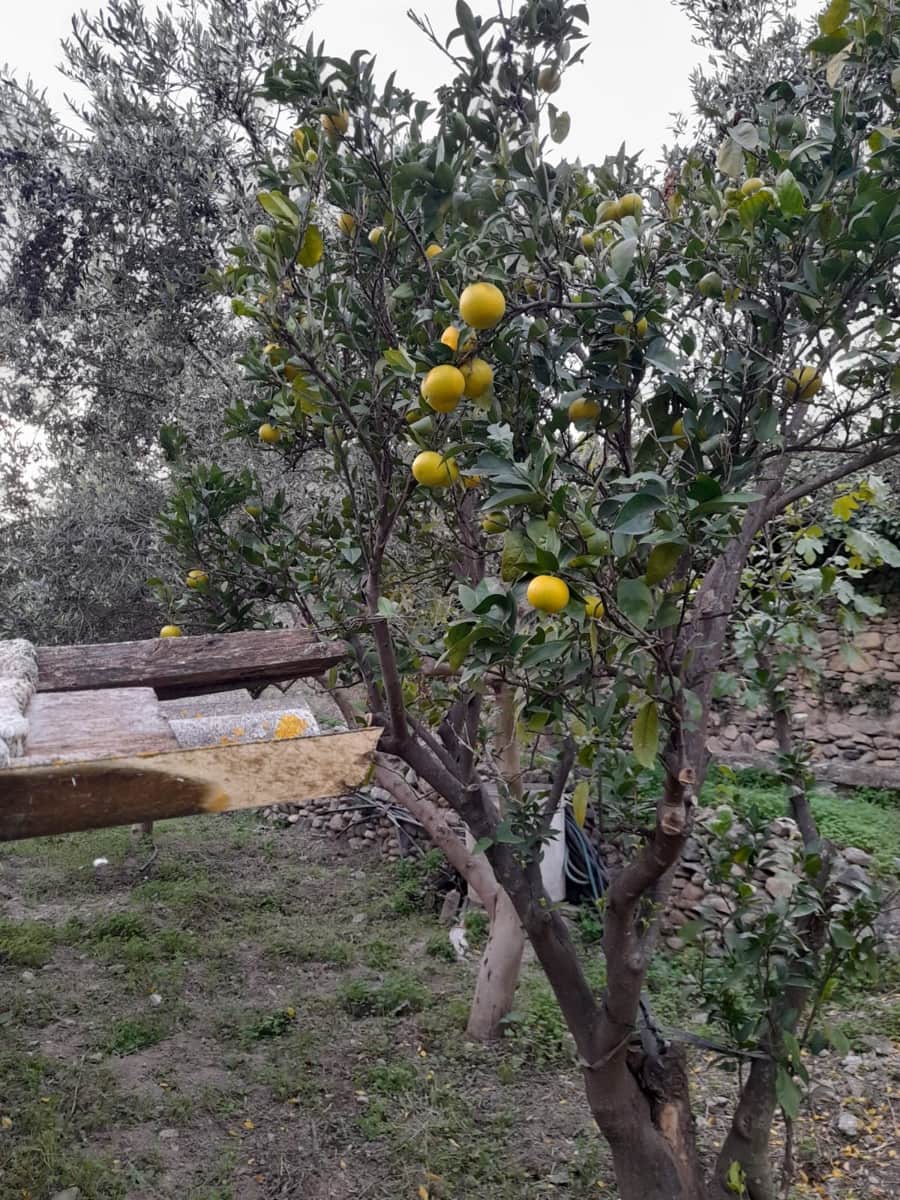 3 makuuhuone Omakotitalo myytävänä paikassa Albanchez - 52 000 € (Ref: 9417363)