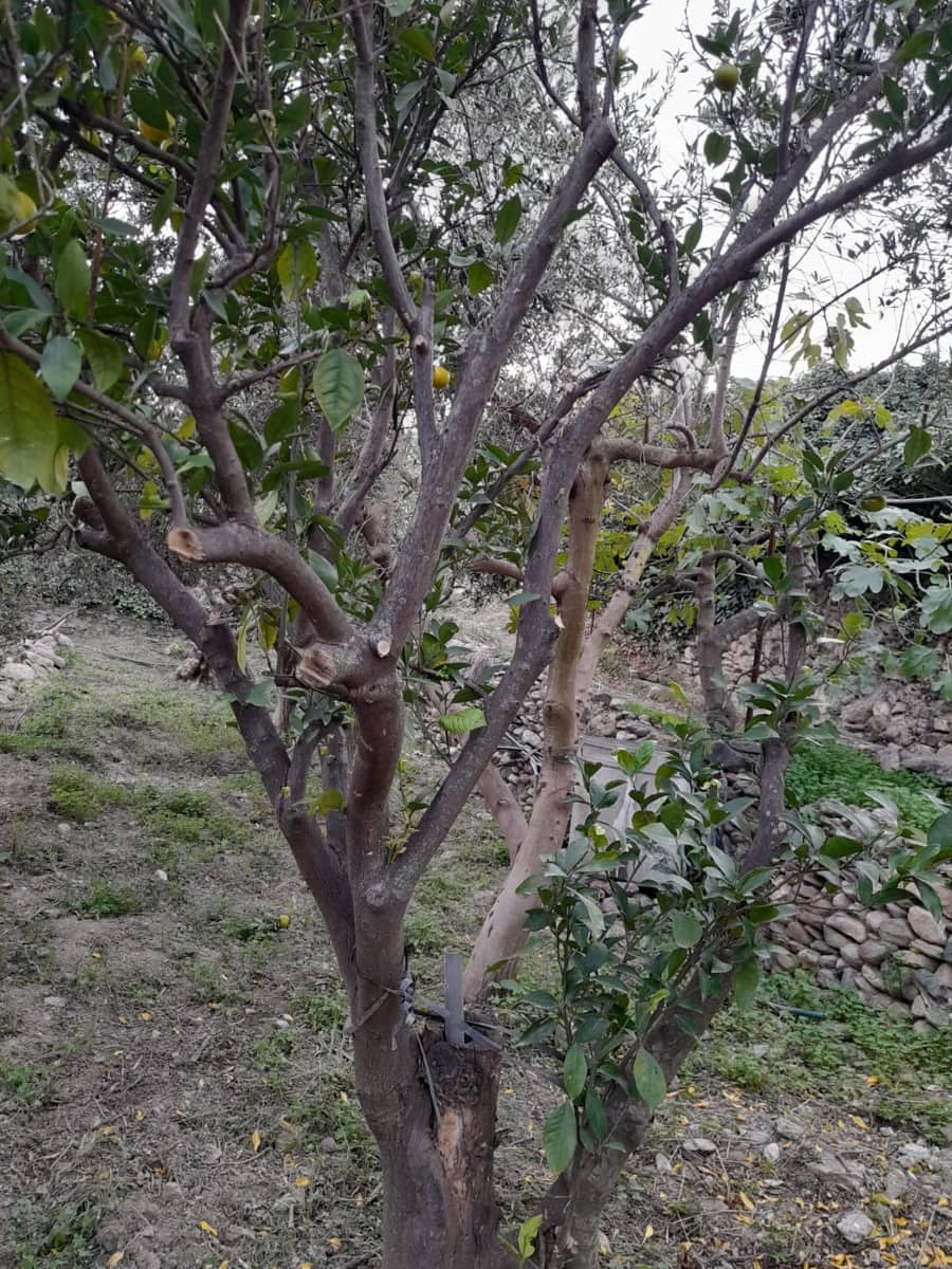 3 makuuhuone Omakotitalo myytävänä paikassa Albanchez - 52 000 € (Ref: 9417363)