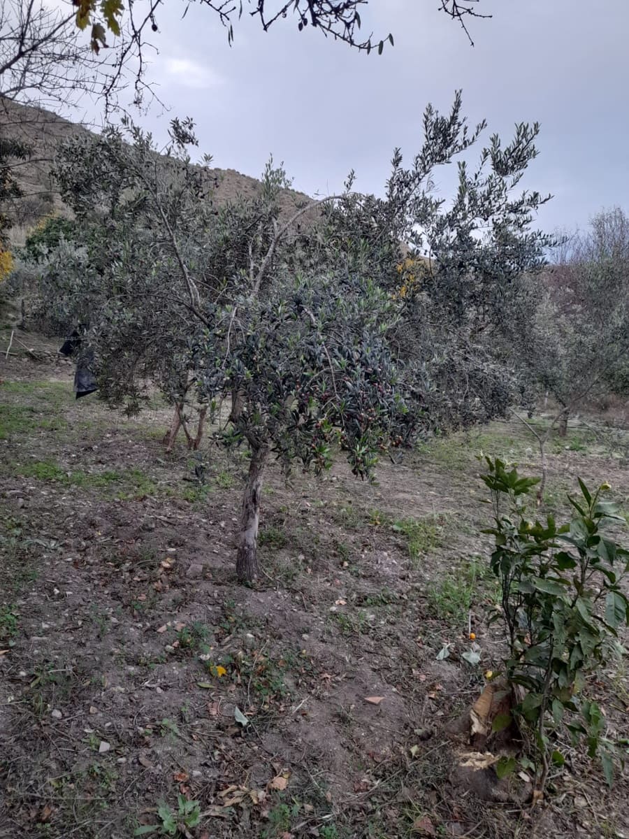 3 makuuhuone Omakotitalo myytävänä paikassa Albanchez - 52 000 € (Ref: 9417363)