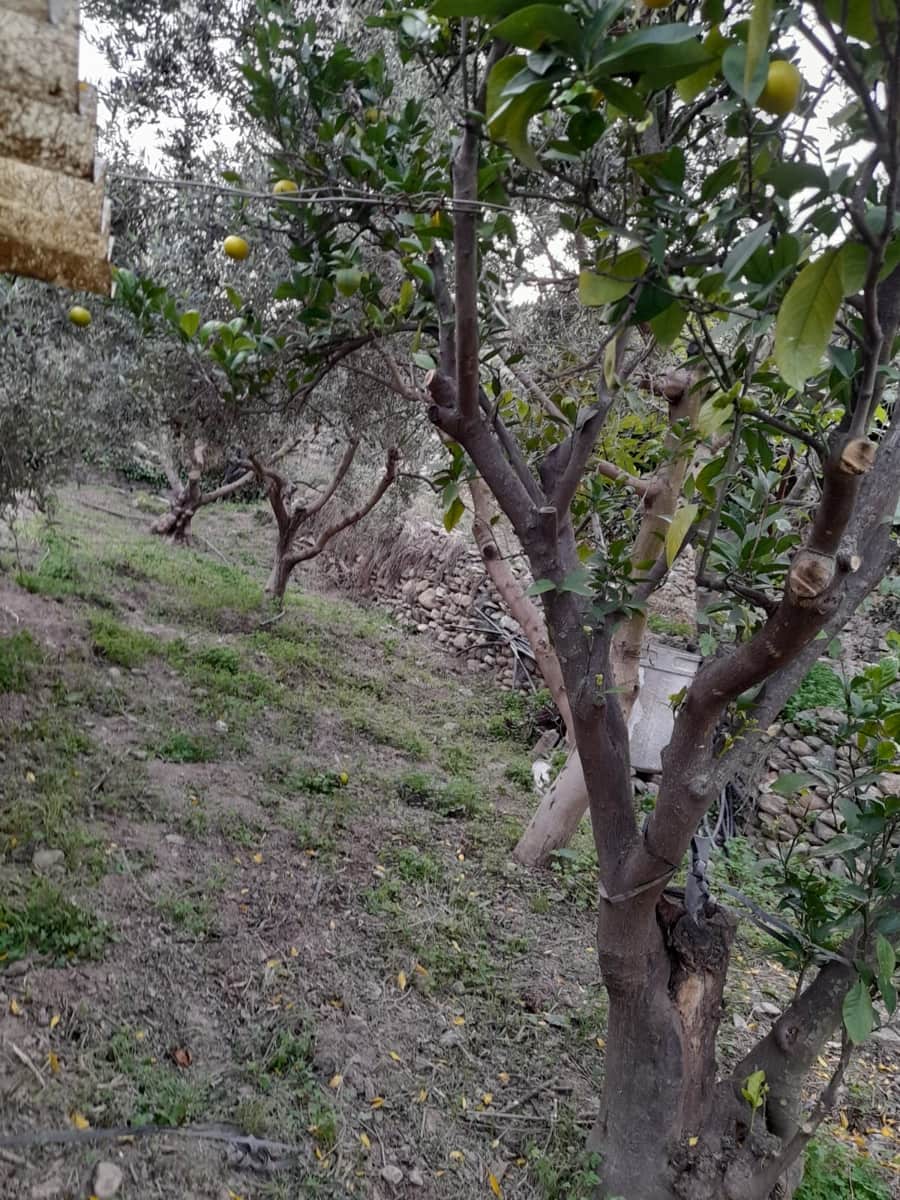 3 makuuhuone Omakotitalo myytävänä paikassa Albanchez - 52 000 € (Ref: 9417363)