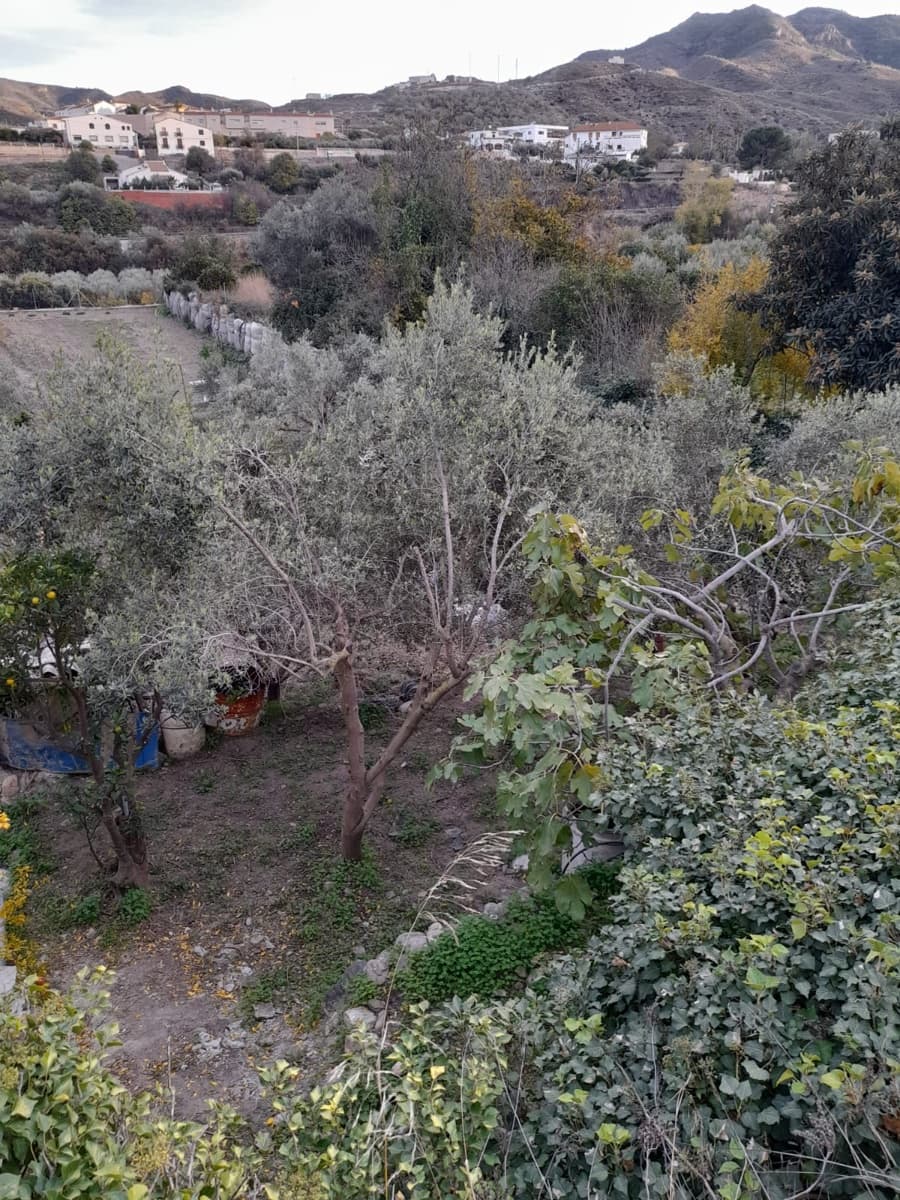 3 makuuhuone Omakotitalo myytävänä paikassa Albanchez - 52 000 € (Ref: 9417363)