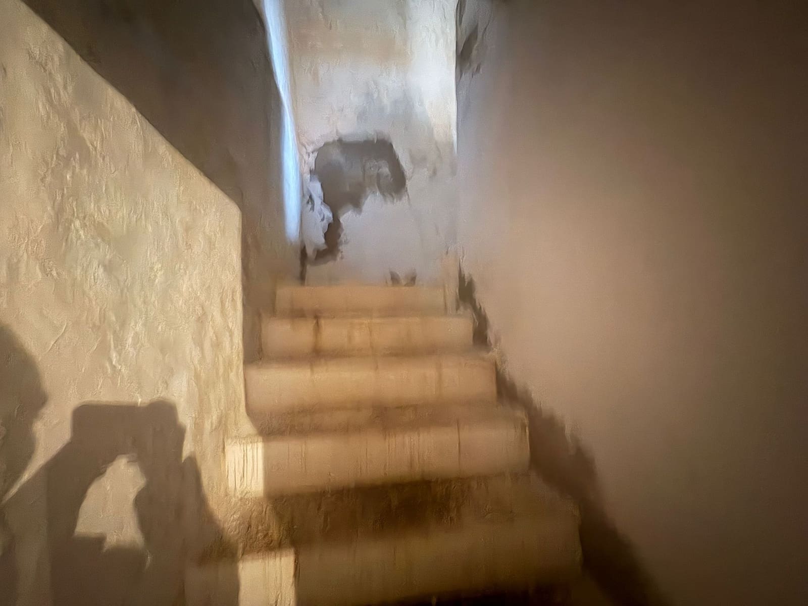 6 soverom Finca/Herregård til salgs i Cantoria - € 109 000 (Ref: 9563687)