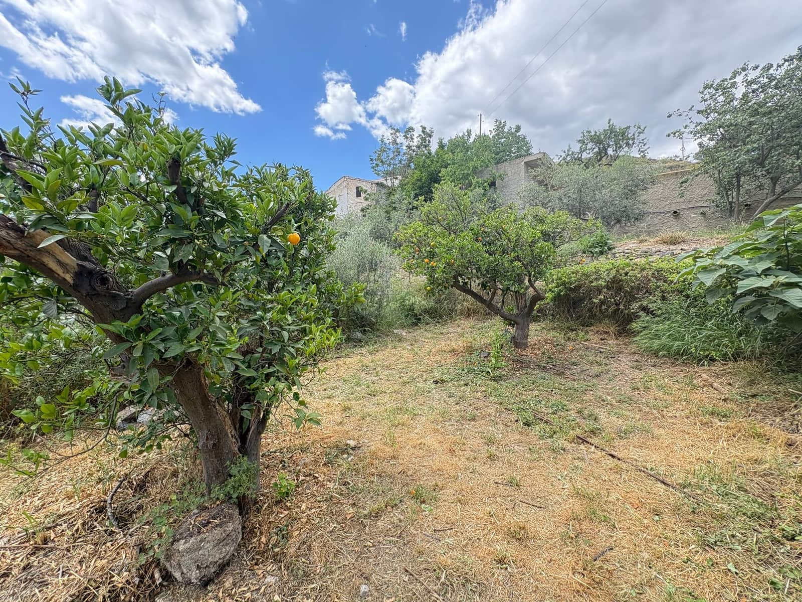 3 bedroom Finca/Country House for sale in Albanchez - € 111,000 (Ref: 9829731)