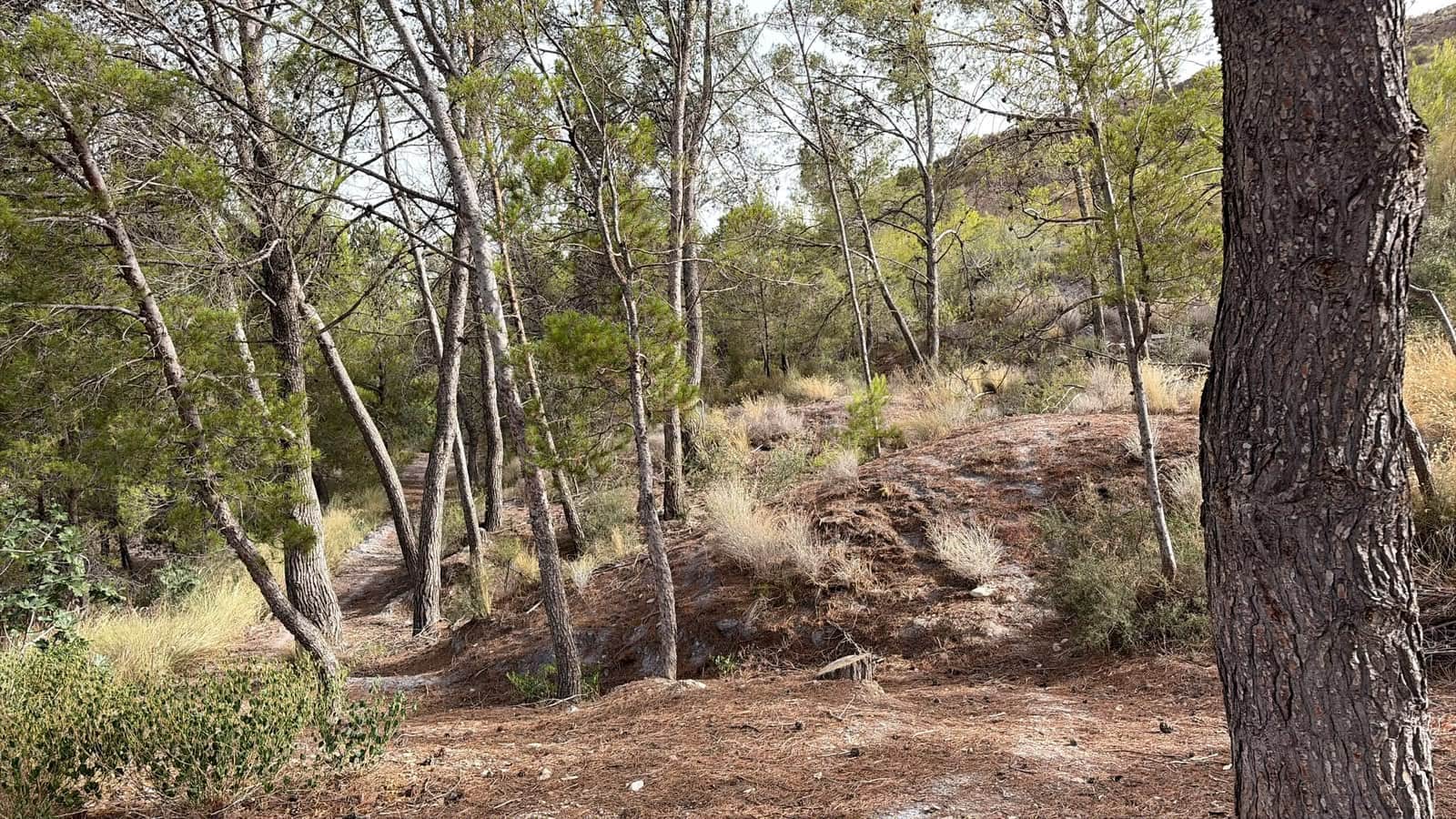 2 chambre Finca/Maison de Campagne à vendre à Cantoria - 295 000 € (Ref: 9973792)