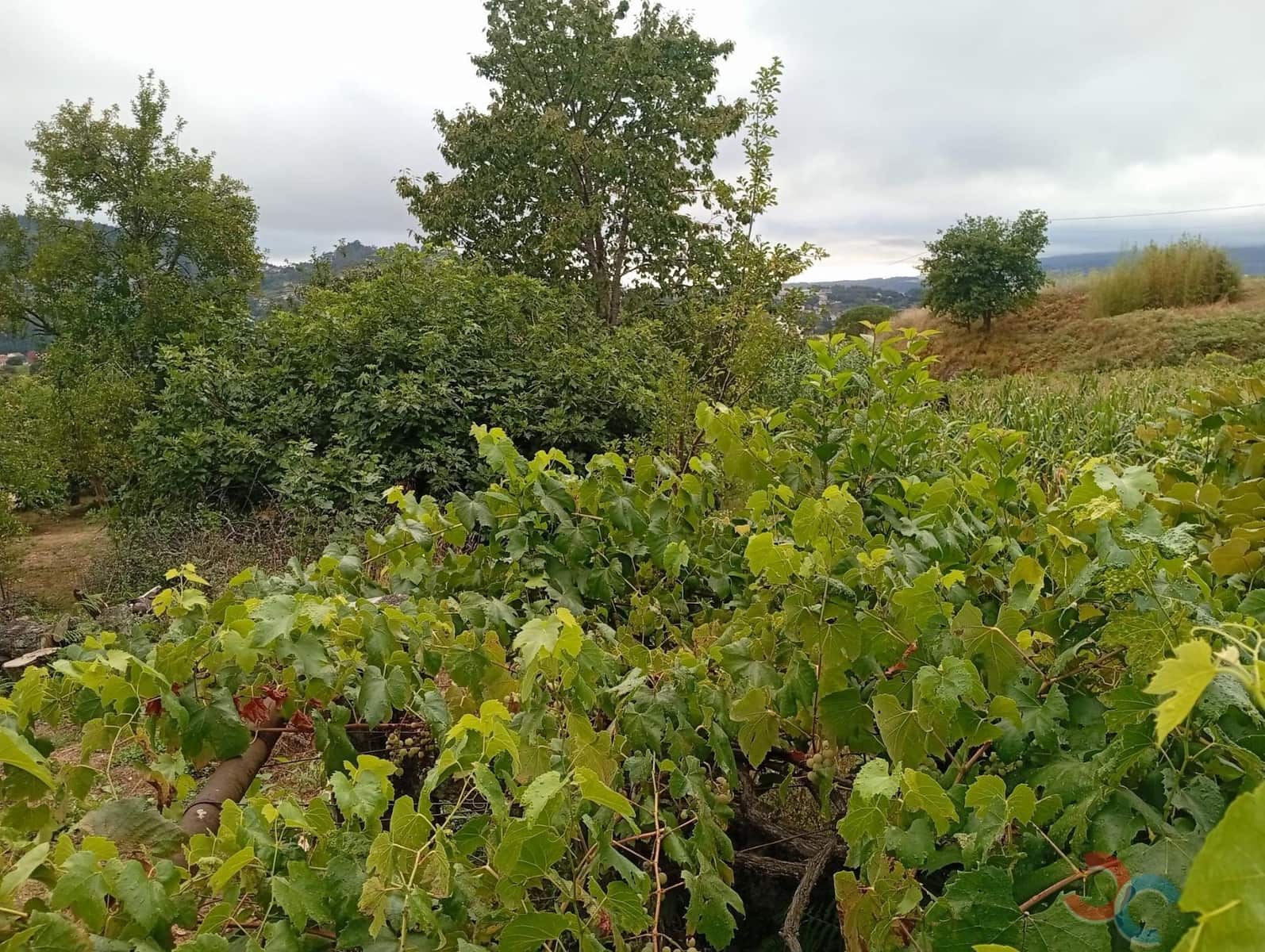 Bauplatz zu verkaufen in Marin - 70.000 € (Ref: 10077188)