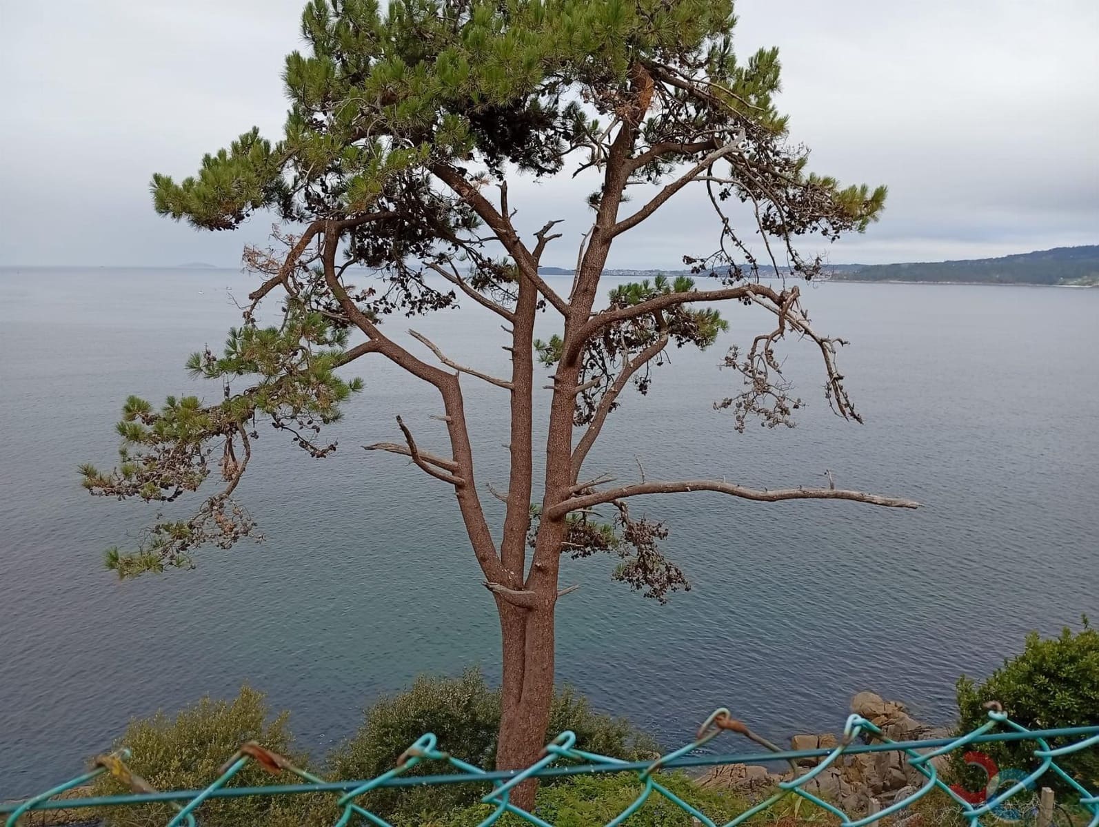 7 soveværelse Villa til salg i Marin med garage - € 630.000 (Ref: 4803423)