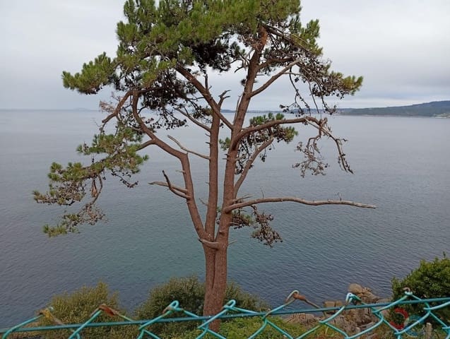 7 makuuhuone Huvila myytävänä paikassa Marín mukana 
autotalli - 630 000 € (Ref: 4803423)