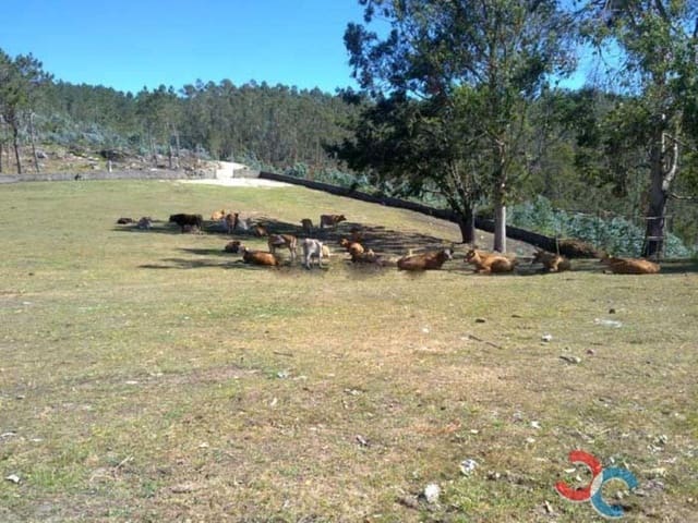 8 camera da letto Finca/Casa di Campagna in vendita in Oia con garage - 260.000 € (Rif: 5381019)