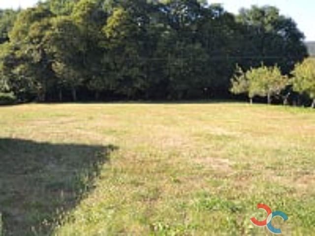 6 camera da letto Finca/Casa di Campagna in vendita in Forcarei - 160.000 € (Rif: 5502570)