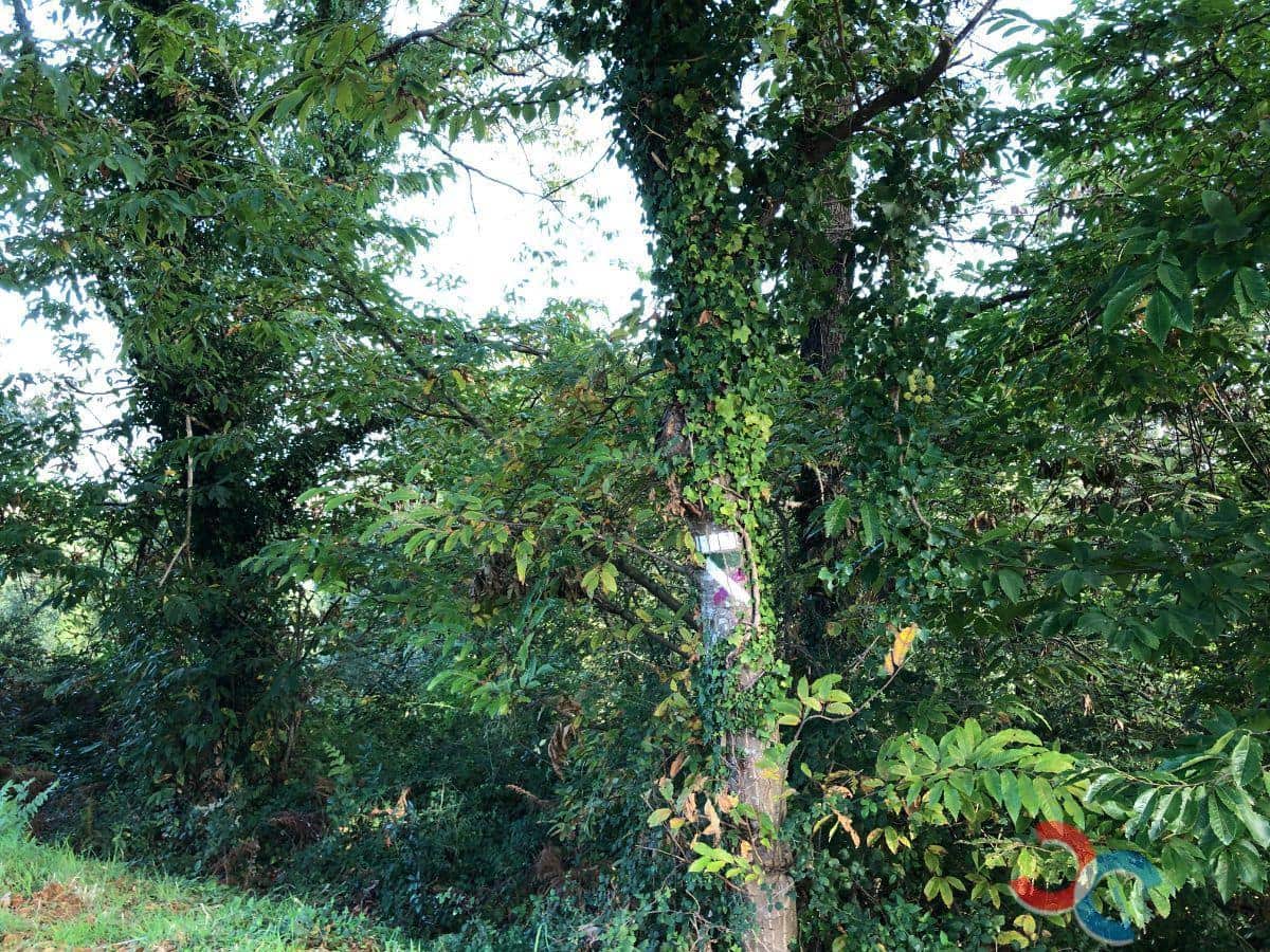 Building Plot for sale in Marin - € 298,000 (Ref: 5585638)