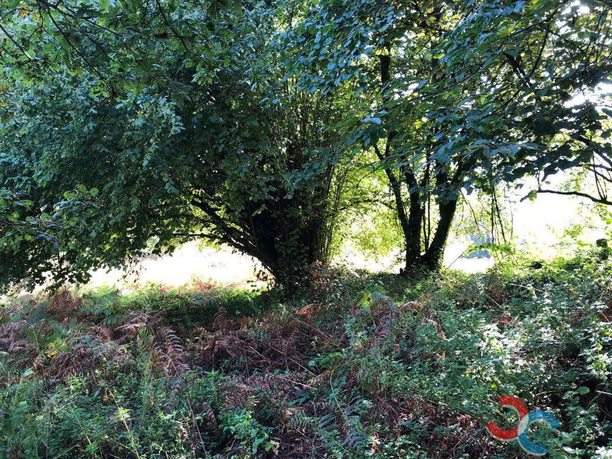 Building Plot for sale in Marin - € 285,000 (Ref: 5585640)