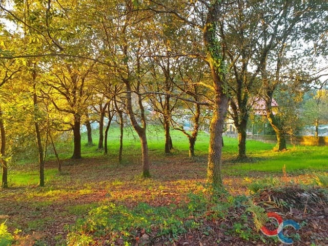 Byggegrund til salg i Marín - € 70.000 (Ref: 5732503)