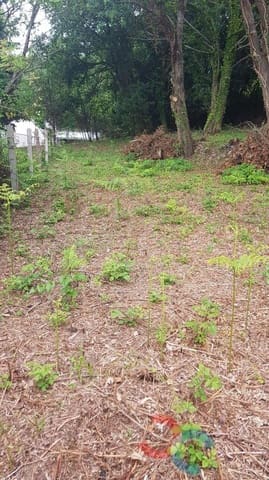 Grunde uden byggetilladelser til salg i Lourizán, Pontevedra by - € 24.000 (Ref: 6061823)