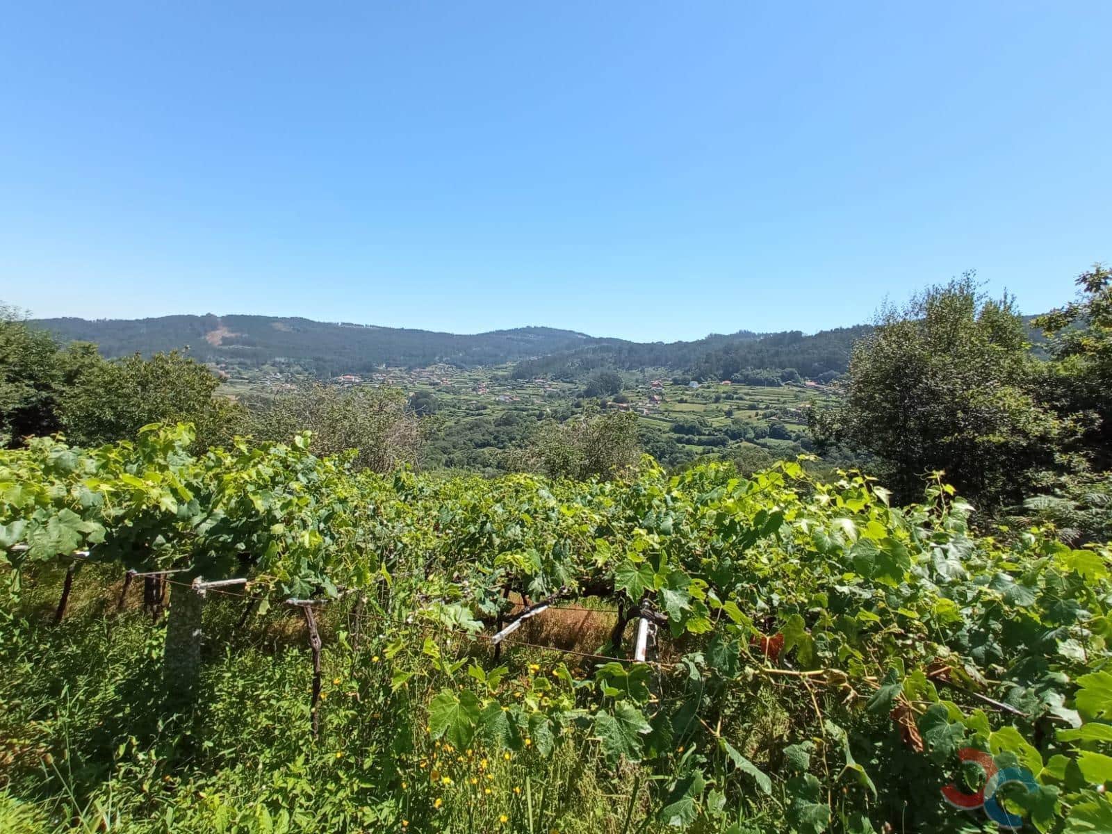Terrain à Bâtir à vendre à Marin - 38 000 € (Ref: 6872955)