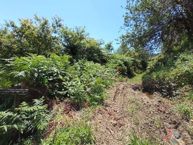 Building Plot for sale in Marín - € 38,000 (Ref: 6872955)