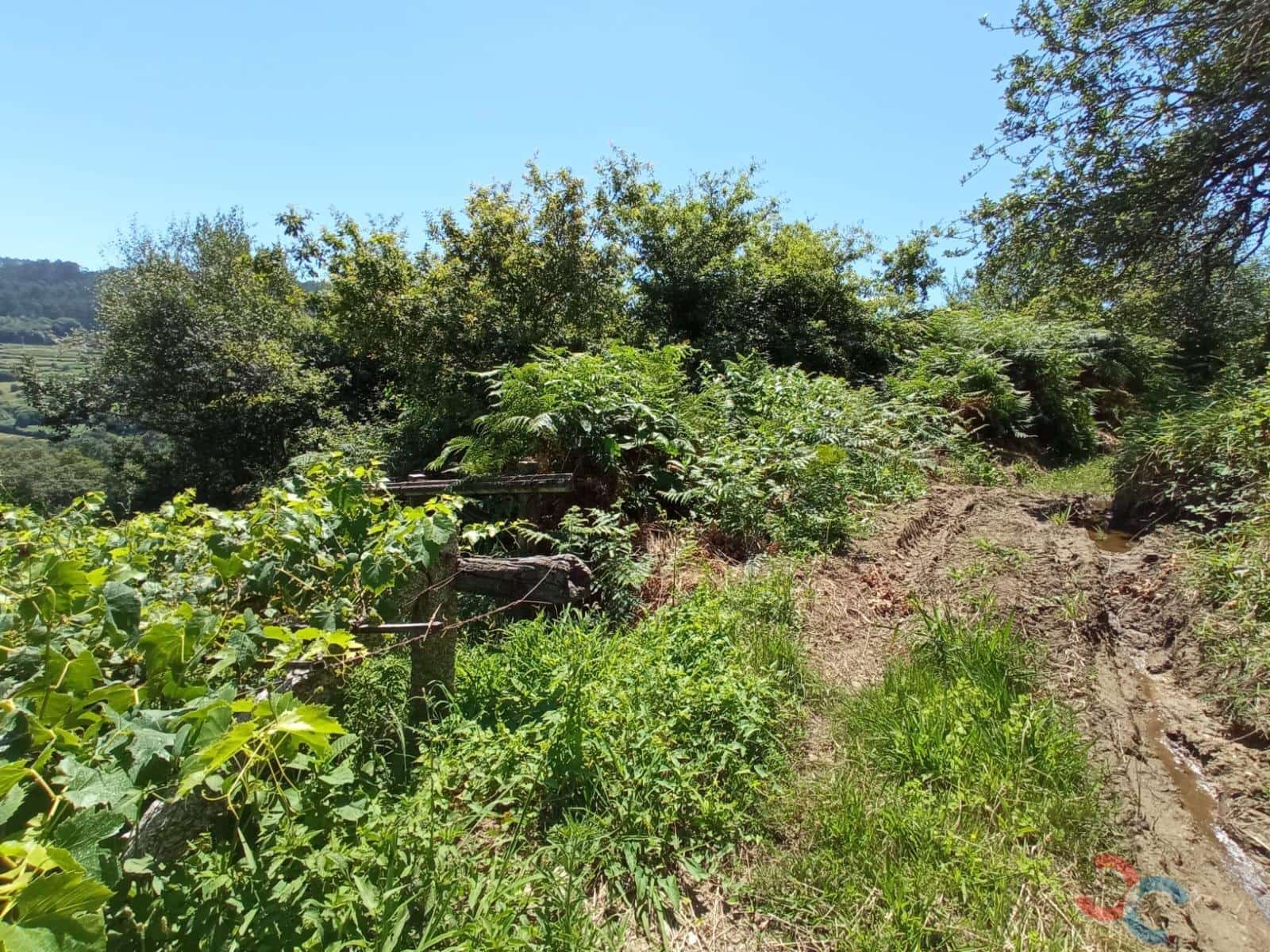 Terrain à Bâtir à vendre à Marin - 38 000 € (Ref: 6872955)