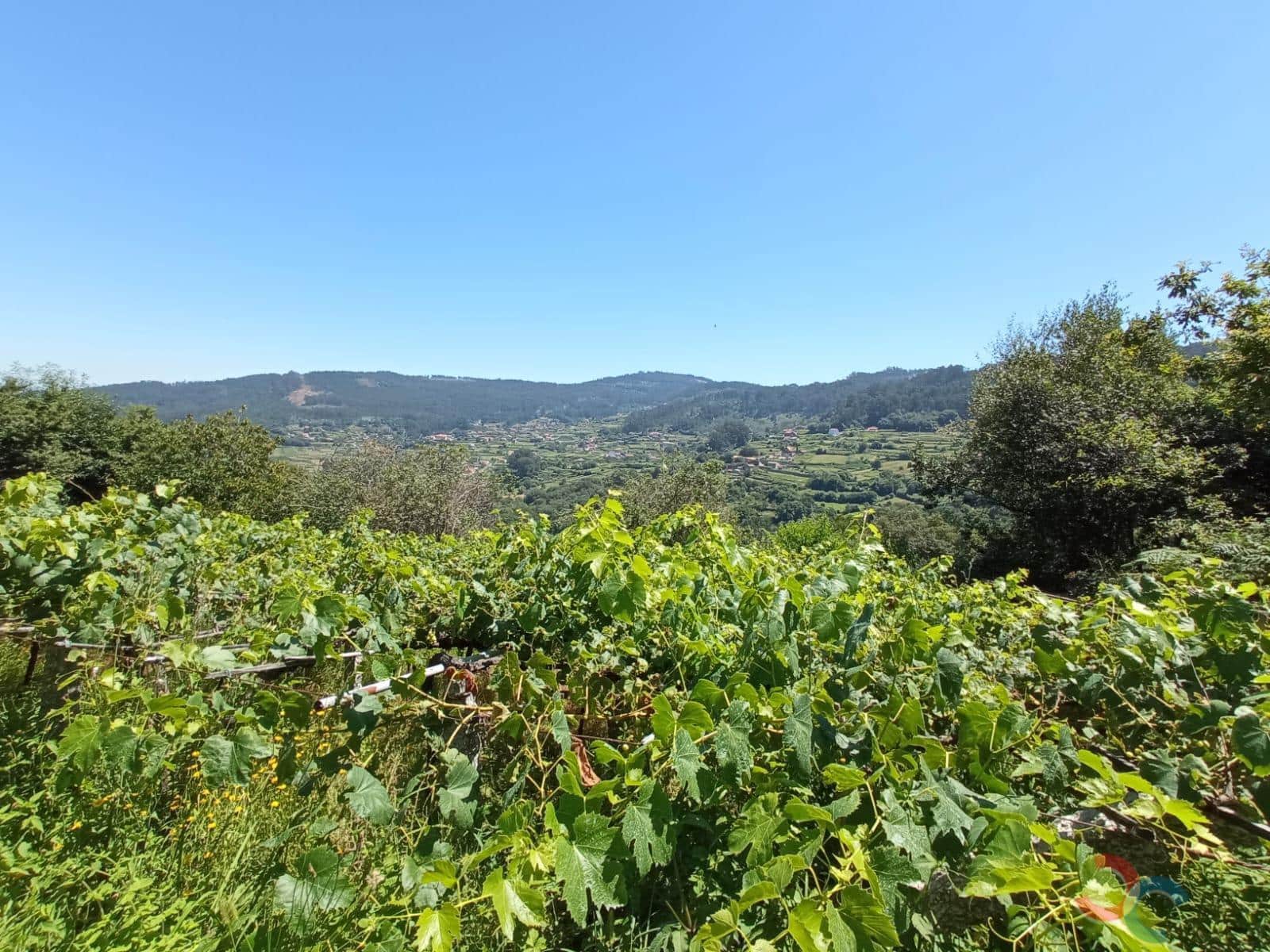 Terrain à Bâtir à vendre à Marin - 38 000 € (Ref: 6872955)