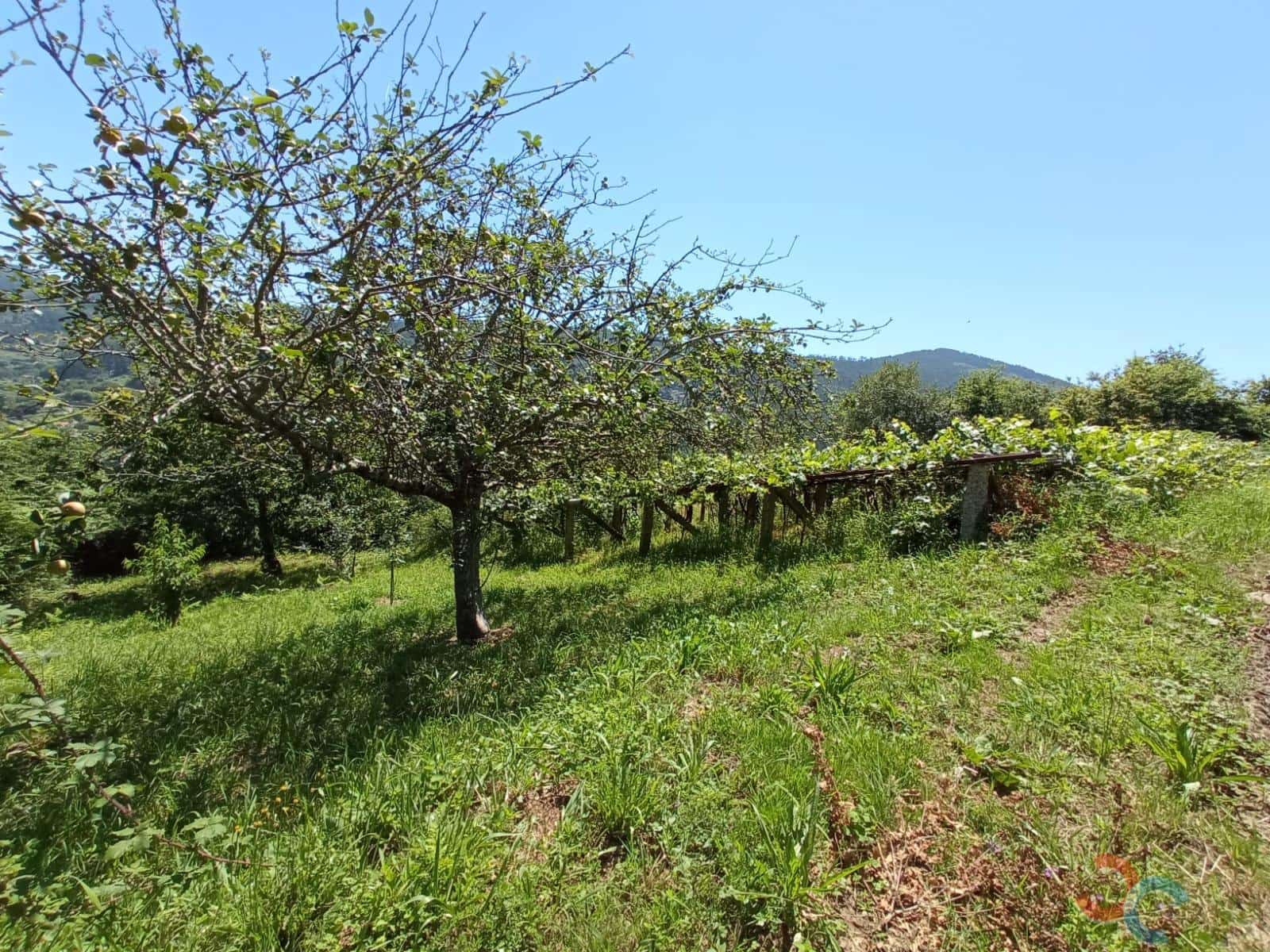 Terrain à Bâtir à vendre à Marin - 38 000 € (Ref: 6872955)