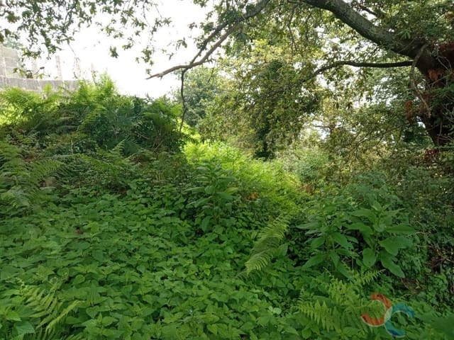 Finca/Landgut zu verkaufen in Marín - 24.000 € (Ref: 6923745)