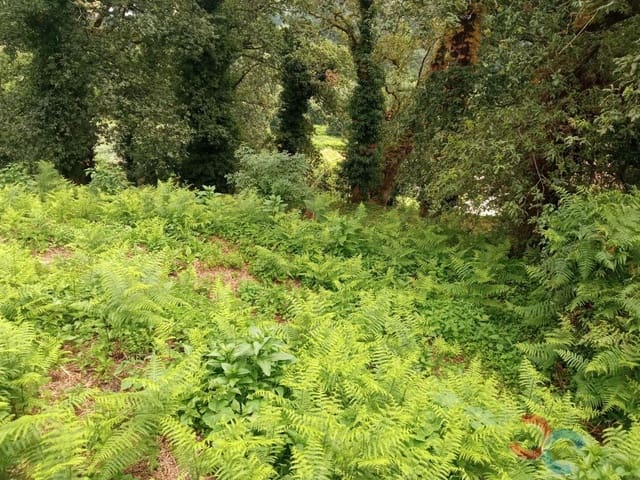 Finca/Landgut zu verkaufen in Marín - 24.000 € (Ref: 6923745)