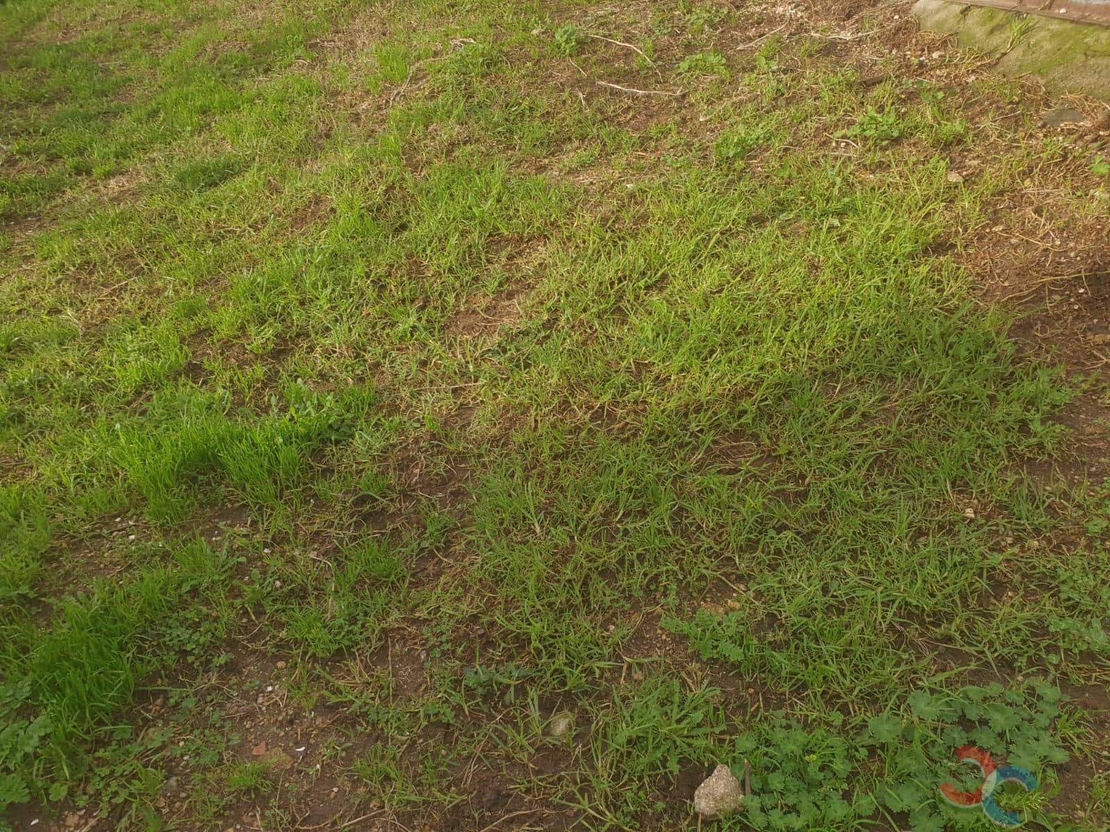 5 bedroom Finca/Country House for sale in Vilagarcia de Arousa - € 150,000 (Ref: 7984741)