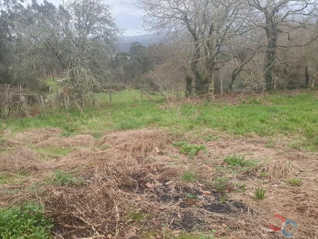 Ruin til salg i Ponte-Caldelas - € 80.000 (Ref: 8044845)